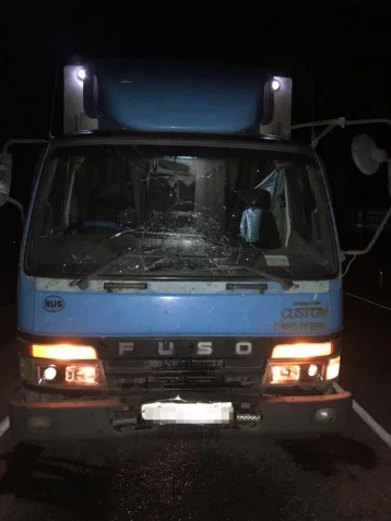 Фото: На кузбасской трассе грузовик сбил пешехода 1