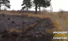 В Сети опубликовано видео с места пожара в Сосновом Бору