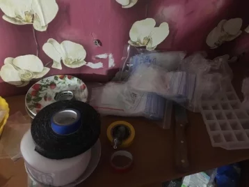Фото: В Кузбассе досмотр 19-летнего наркокурьера сняли на видео 1
