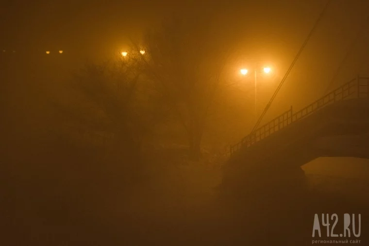 Фото: Туманная перспектива: кемеровский смог 11