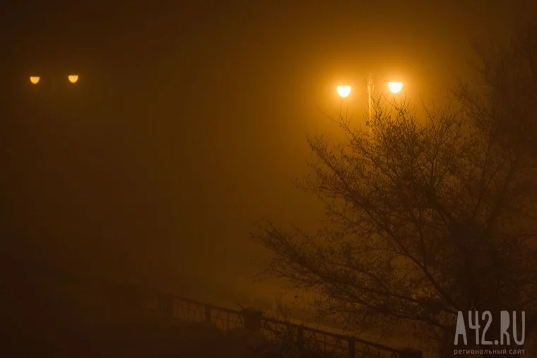 Фото: Туманная перспектива: кемеровский смог 12