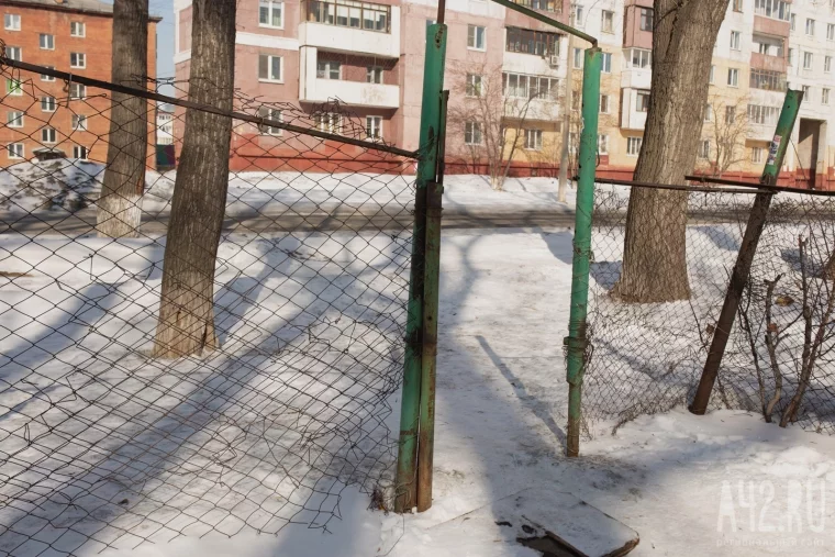 Фото: Развалины и грязь. Как мы обходили площадки для выгула собак в Кемерове и Новокузнецке 21