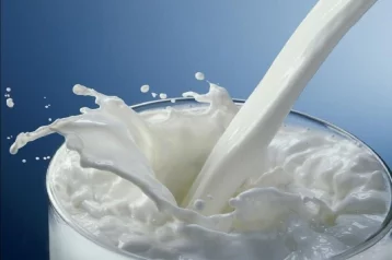 Фото: Иначе навредит: российские учёные призвали пить молоко определённой жирности 1