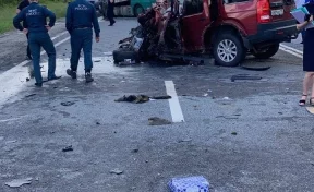 Под Рязанью в массовом ДТП на трассе погибли 8 человек и 13 пострадали 