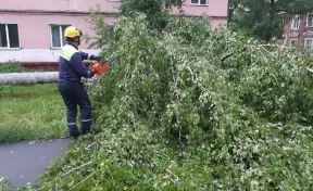 Власти рассказали о последствиях штормового ветра в Кемерове