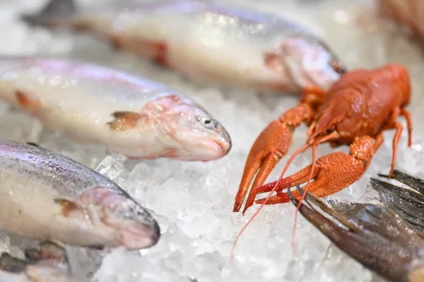 Россельхозбанк прогнозирует рост ключевых показателей развития РХК в 2026 году