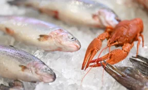 Россельхозбанк прогнозирует рост ключевых показателей развития РХК в 2026 году