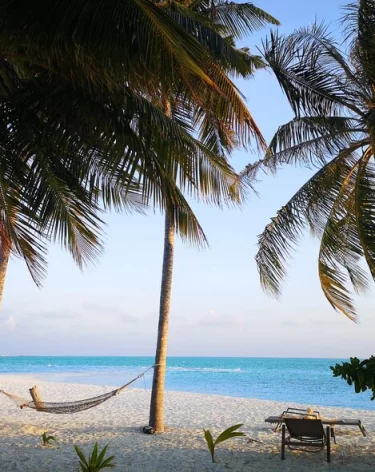 В Таиланде заметили людей, похожих на пропавших в тайге Усольцевых