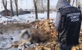 Ребёнка насмерть придавило обрушившейся кирпичной печью в Забайкальском крае