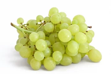 Фото: Учёные рассказали, как виноград влияет на организм 1