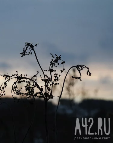 Дмитриев день: народные приметы на 8 ноября