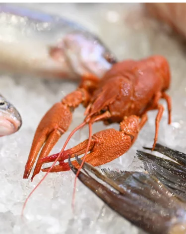 Россельхозбанк прогнозирует рост ключевых показателей развития РХК в 2026 году