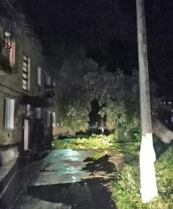 Фото: Во время урагана в Кузбассе дерево упало на дом, провода и перекрыло проезд 1