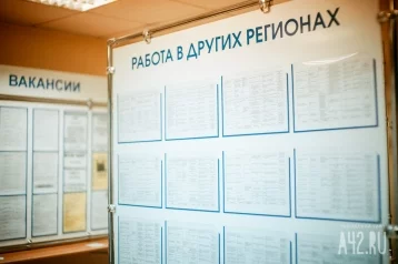 Фото: Травильщик и управляющий центром отдыха: эксперты назвали самые «дорогие» вакансии августа в Кузбассе 1