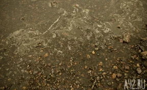 Кузбасского золотодобытчика обязали выплатить 101 миллион рублей