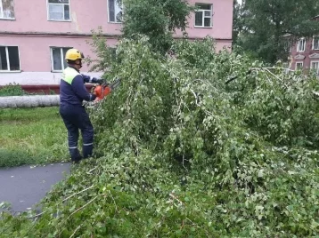 Фото: Власти рассказали о последствиях штормового ветра в Кемерове 1