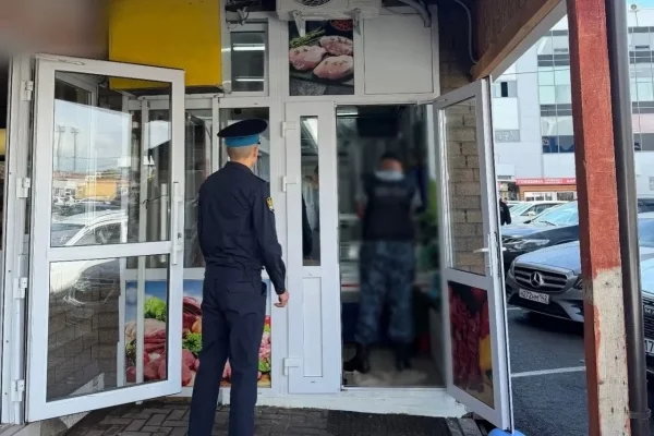 Без воды, но с мухами: в Кемерове приставы опечатали магазин по продаже мяса