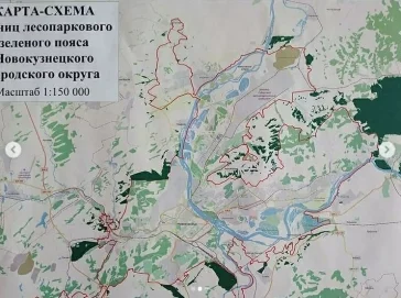 Фото: Власти обсудили создание зелёных поясов вокруг Кемерова и Новокузнецка 2