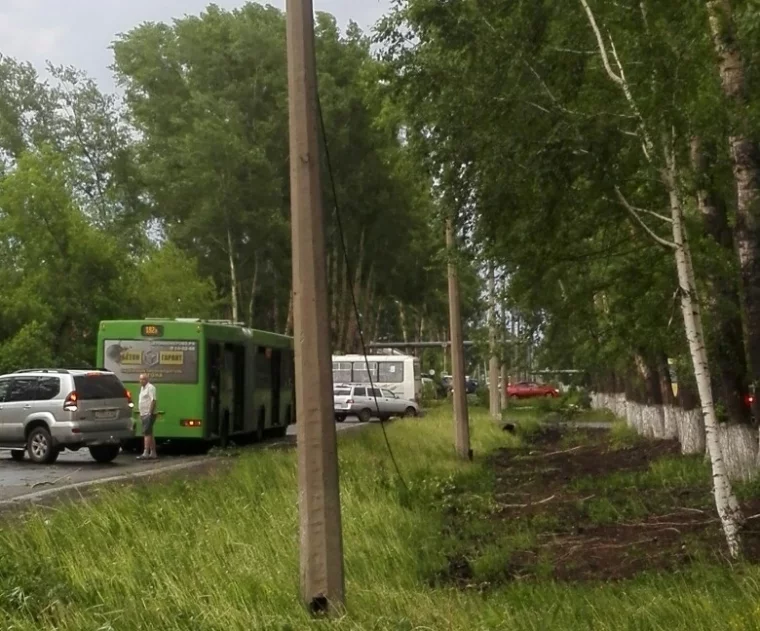 Фото: В Кемерове ветер повалил деревья: повреждён электрокабель, перекрыто движение 2