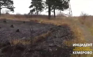 Фото: В Сети опубликовано видео с места пожара в Сосновом Бору 1