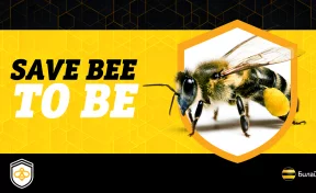 Общее дело: Билайн запускает информационную платформу, призванную сократить массовую гибель пчёл в России