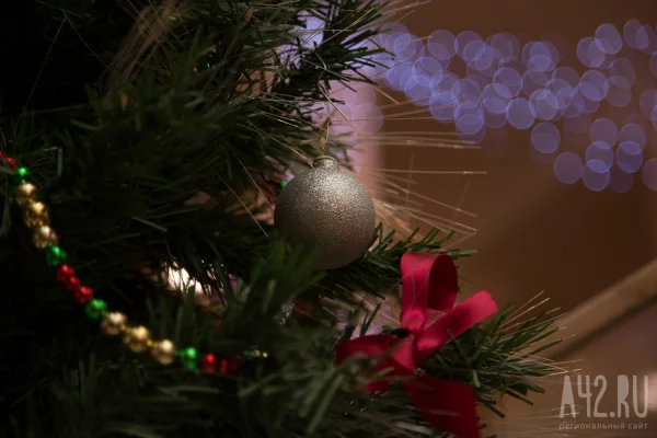 «Серёга в шоке»: жителей Берёзовского возмутила странная новогодняя ёлка