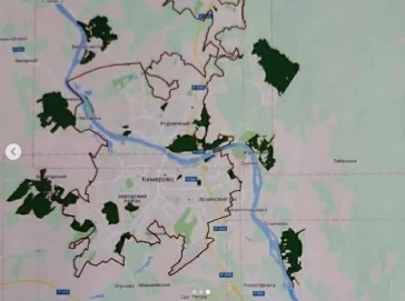 Фото: Власти обсудили создание зелёных поясов вокруг Кемерова и Новокузнецка 3