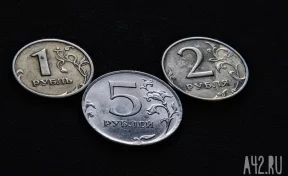 Россиянин принёс приставам 22 килограмма монет, чтобы погасить долг