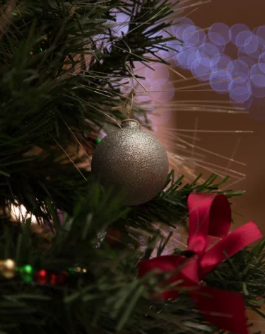 «Серёга в шоке»: жителей Берёзовского возмутила странная новогодняя ёлка