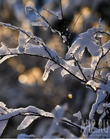 В Кузбассе в первый рабочий день недели потеплеет до +7