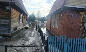 В Новокузнецком округе вода подтопила три садовых товарищества