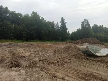 Фото: В Кузбассе муниципалитет разрешил строительство на территории заказника: возбуждено уголовное дело 3