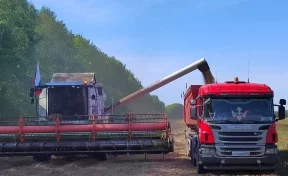 РСХБ в Кузбассе увеличил кредитование полевых работ в 2025 году на 49%