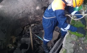 В Мариинске спасатели достали собаку из глубокой ямы