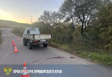Фото: В Приморском крае две 10-летние девочки выпали из кузова грузовика, одна погибла 1