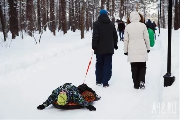 Фото: Синоптики дали прогноз на 24 ноября в Кузбассе 1