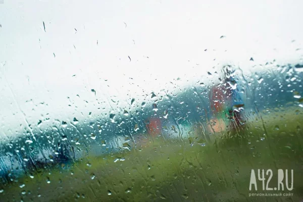 В Муроме из-за вспышки кишечной инфекции пострадали 677 человек