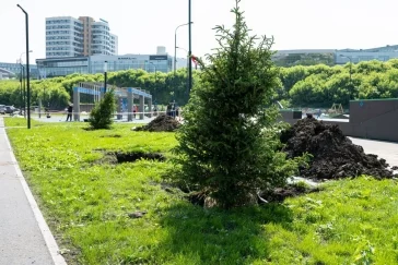 Фото: «Новые пейзажи, новый Кемерово»: Дмитрий Анисимов снова прогулялся по набережной Искитимки 5