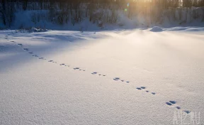 Не наступать на сугробы: приметы на 9 марта