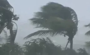 На Багамах жертвами урагана «Дориан» стали пять человек