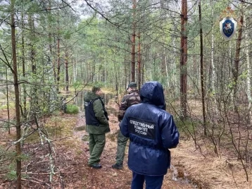Фото: В Нижегородской области школьник пропал без вести в лесу 1