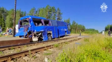 Фото: Опубликовано видео с места столкновения поезда и пассажирского автобуса в Ленобласти 1