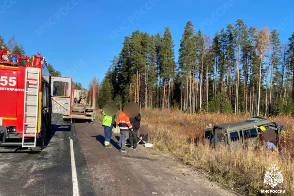 В Карелии микроавтобус с заключёнными столкнулся с грузовиком, пострадали 8 человек