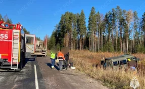 В Карелии микроавтобус с заключёнными столкнулся с грузовиком, пострадали 8 человек