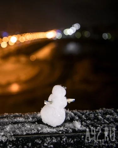 Фото: A42.RU