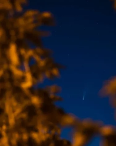 Число сбитых БПЛА, летевших на Москву, возросло до 30