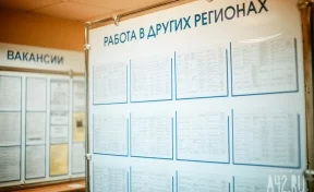 Травильщик и управляющий центром отдыха: эксперты назвали самые «дорогие» вакансии августа в Кузбассе