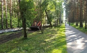 В Кузбассе в 2022 году отремонтировали свыше 240 дворов и 40 мест отдыха 