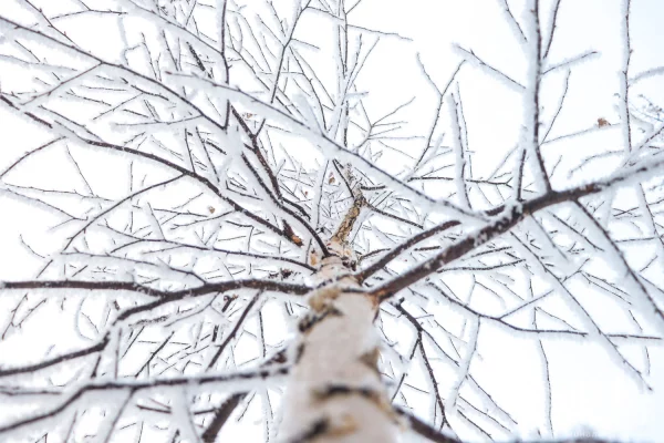 От -21 до +5: синоптики рассказали о погоде на выходные в Кузбассе