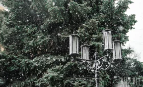 Герасим Грачевник: народные приметы на 17 марта